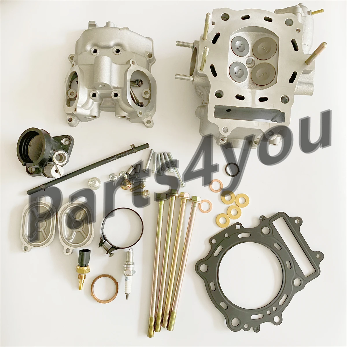 Cylinder Head & Cover Assy for CFmoto ATV UTV SSV 196S 600cc 600 X6 Z6