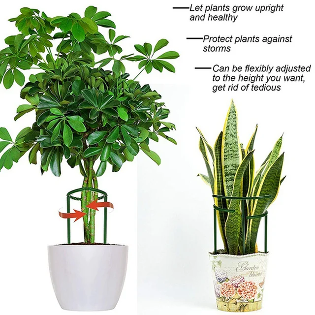 Növénytámogató Ketrec Üzlet Műanyag Virágállvány Félkör Gyűrűs Növény Keret Hegymászás Kerti Növényi Szerszám Állvány - Image 5