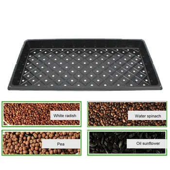 

Behogar 2PCS 54x28x5cm Reusable Seedling Seed Starter Growing Trays Extra for Garden Greenhouse Succulent Wheatgrass Microgreens