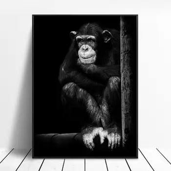 

Black and white Orangutan Elephant Art Canvas Poster Home Decoration Painting No Frame