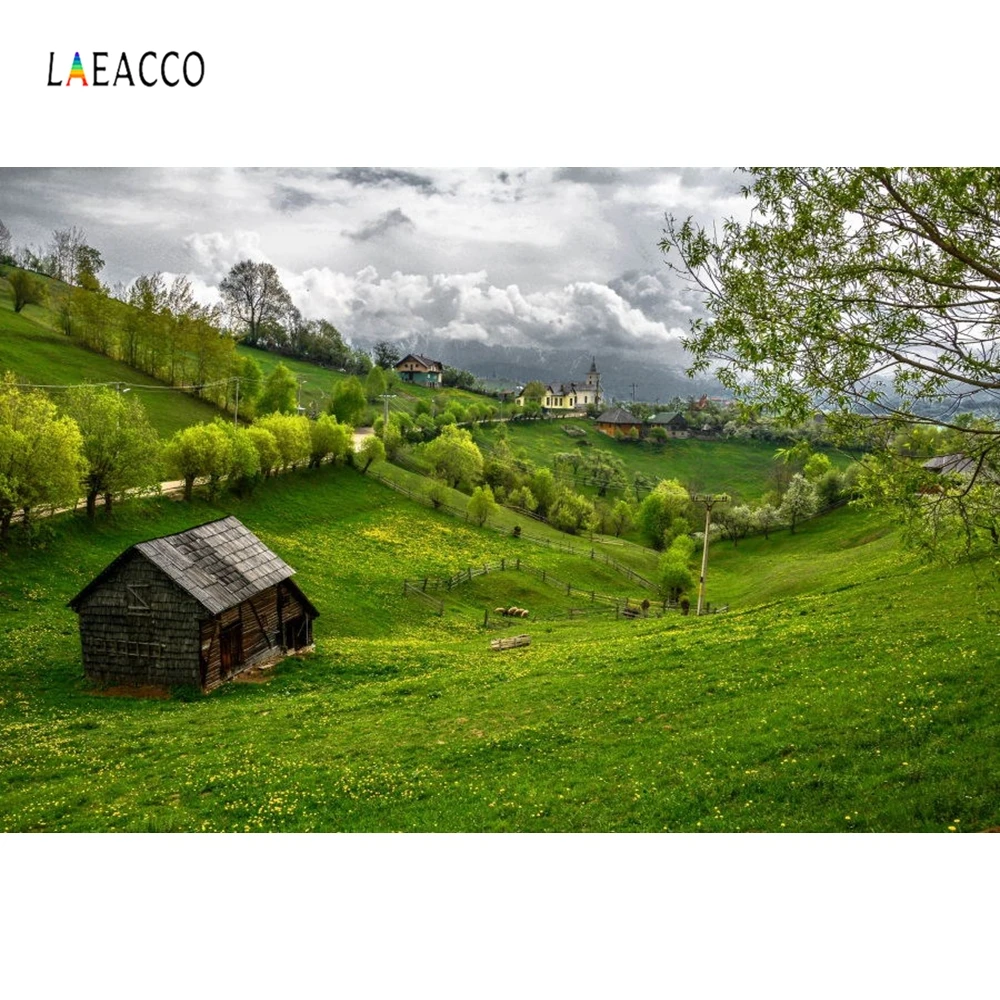 Laeacco Сельский холм поле луга дома пейзаж фотографии фоны виниловые