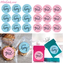 60/120pcs Team Boy Team Girl Stickers Boy Or Girl Vote Stickers for Gender Reveal Party Decorations Baby Shower Gift Box Label