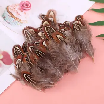 

100pcs Natural Chicken Feathers Plumas for Various Crafts DIY Jewelry Earring