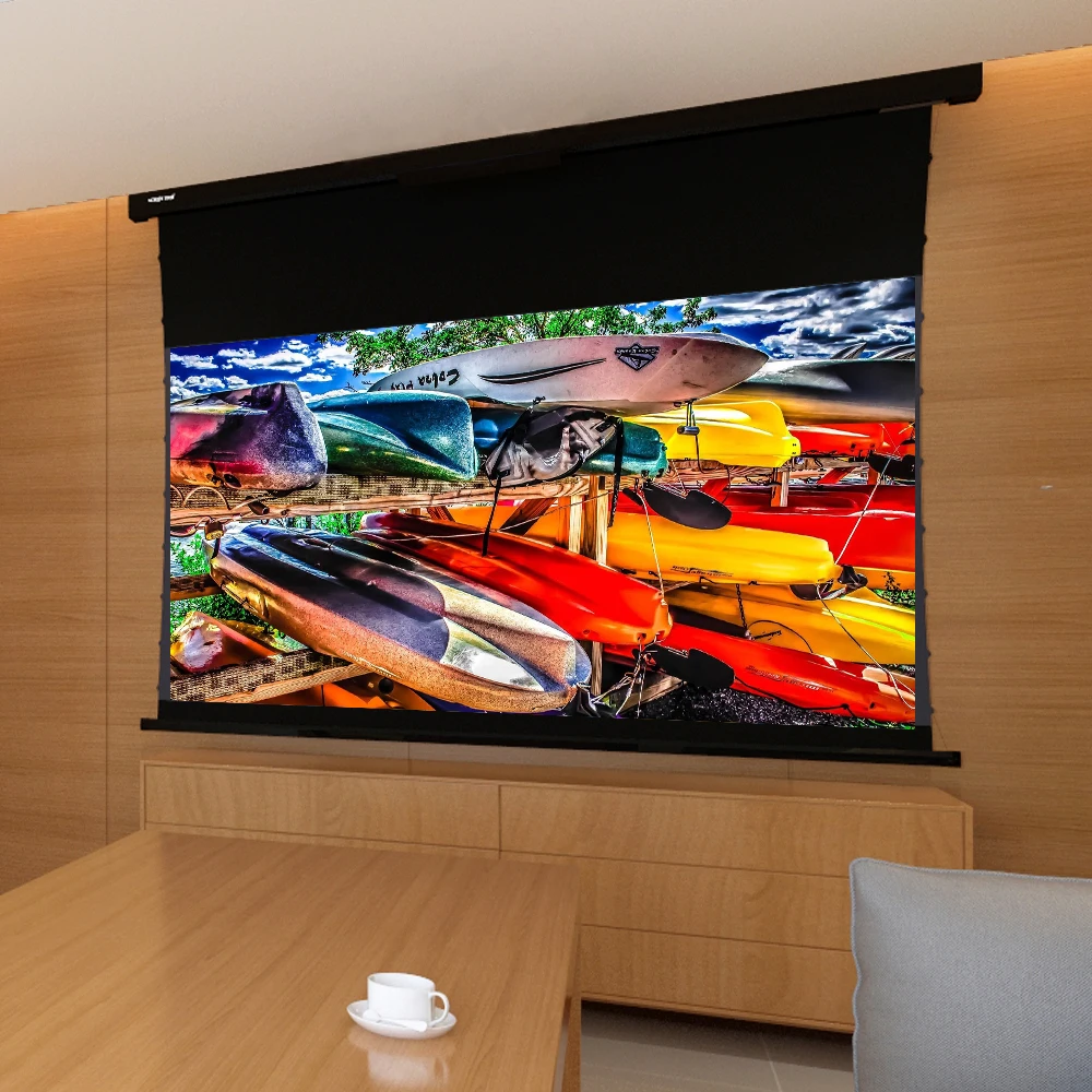 Projection Screens 