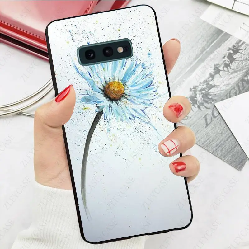 daisy flower