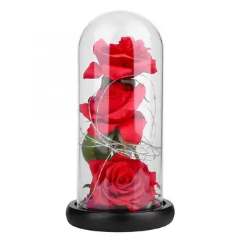 

3Pcs Glass Cover Simulation Rose Flower with LED Light Christmas Day Gift Decoration led string lights