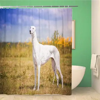 

Bathroom Shower Curtain English Greyhound Dog Doggy Field Freedom Freedome Funny Grass Polyester Fabric 60x72 inches Waterproof