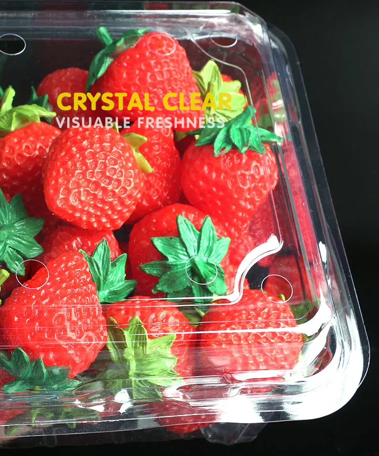 STRAWBERRYPAGE4_08