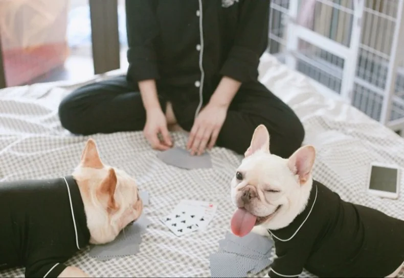 11820305220_695175948