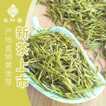 

2020 Zhejiang Huangjinya Preferred Golden Bud Green Tea for Clear Heat Cellulite and Digestion