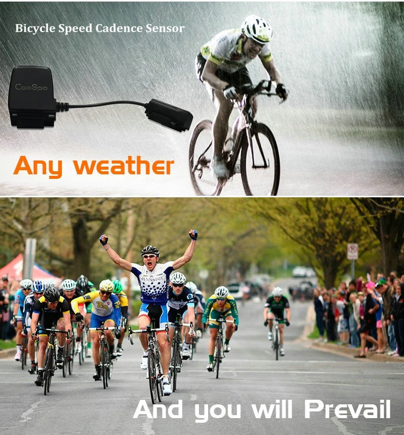 HTB1MBnQKpXXXXaeXVXXq6xXFXXXp_