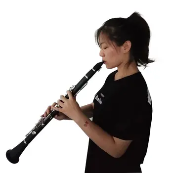 

17 Key Clarinet Musical Instruments Woodwind Instruments Clarinet B Flat 17 Keys Practical Durable Clarinet Woodwind Instrument