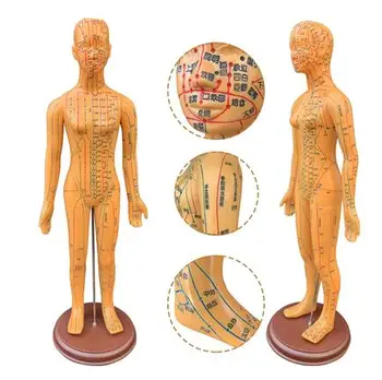 

58CM Female Lettering acupuncture point body mannequin acupuncture, Medical Research massage reflex zone teaching model 1pc C518