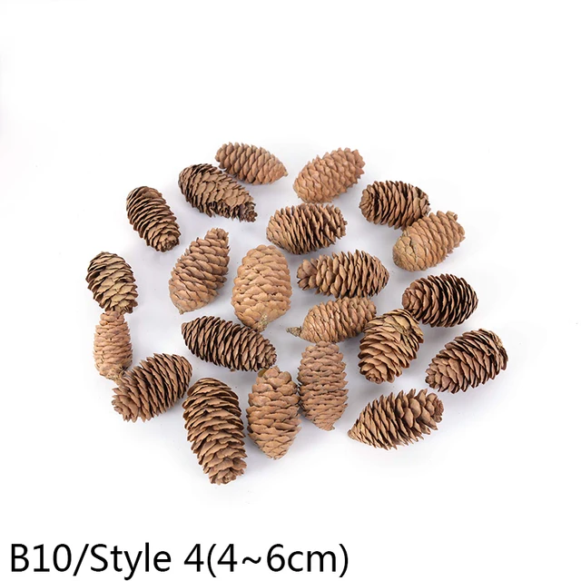 1-10pcs Natural Pine Nuts Fruit Dried Artificial Flower Pineapple Cones for Christmas DIY Garland Wreath Wedding Home Decoration B10-10pcs