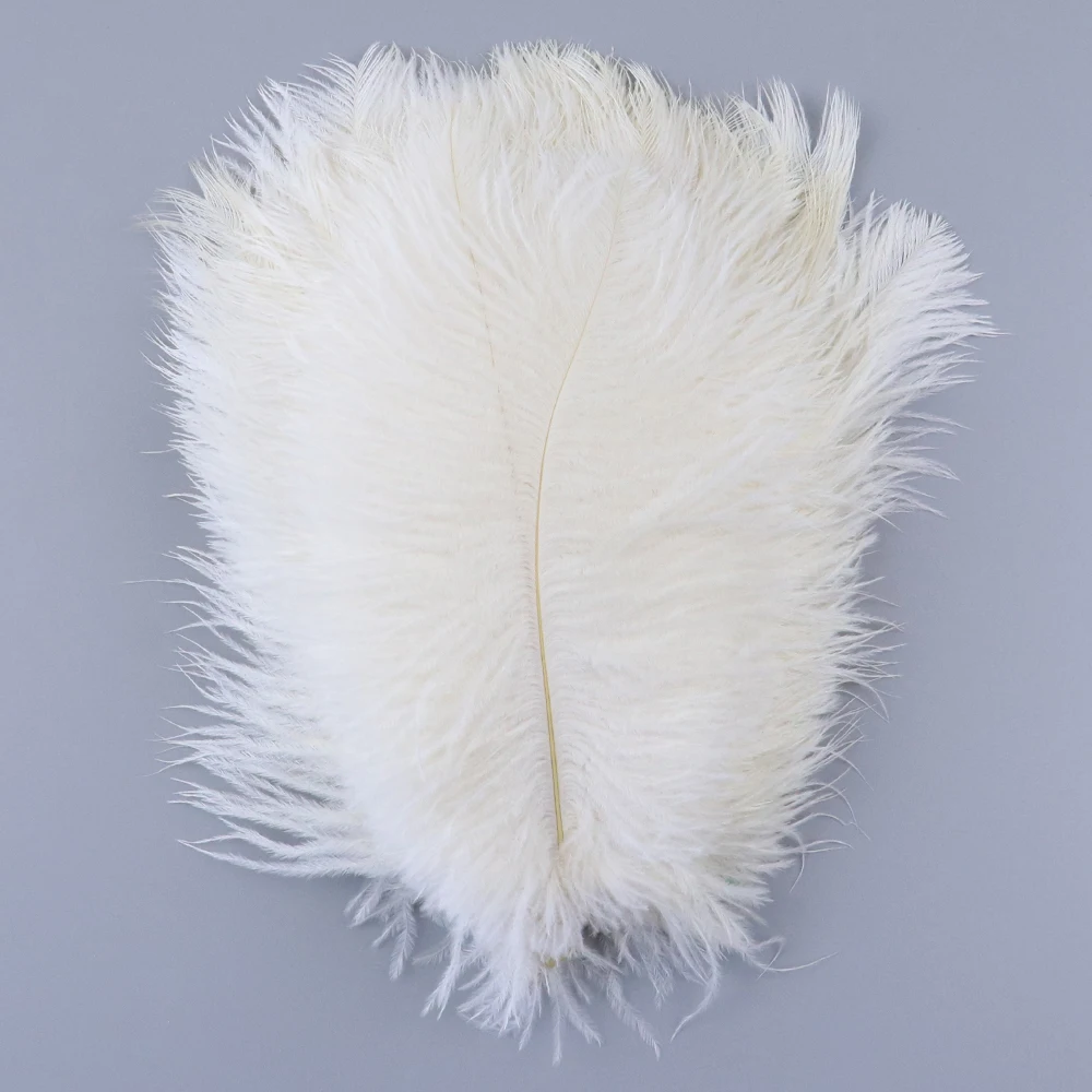 TS0120012 20-25cm white ostrich feathers 2