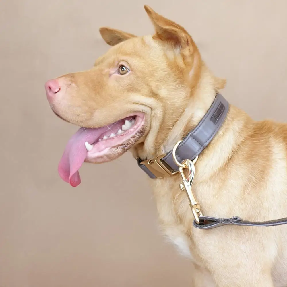 

ALLIVA retailing handmake Pu high quality adjustable dog collars and leashes The Gray Leather CBA002