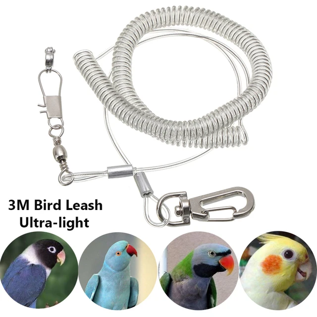 3M Parrot Bird Flying Training Leash Ultra-light Flexible Rope Anti-bite with Leg Ring Harness Outdoor Macaw Cockatiel Starling 2