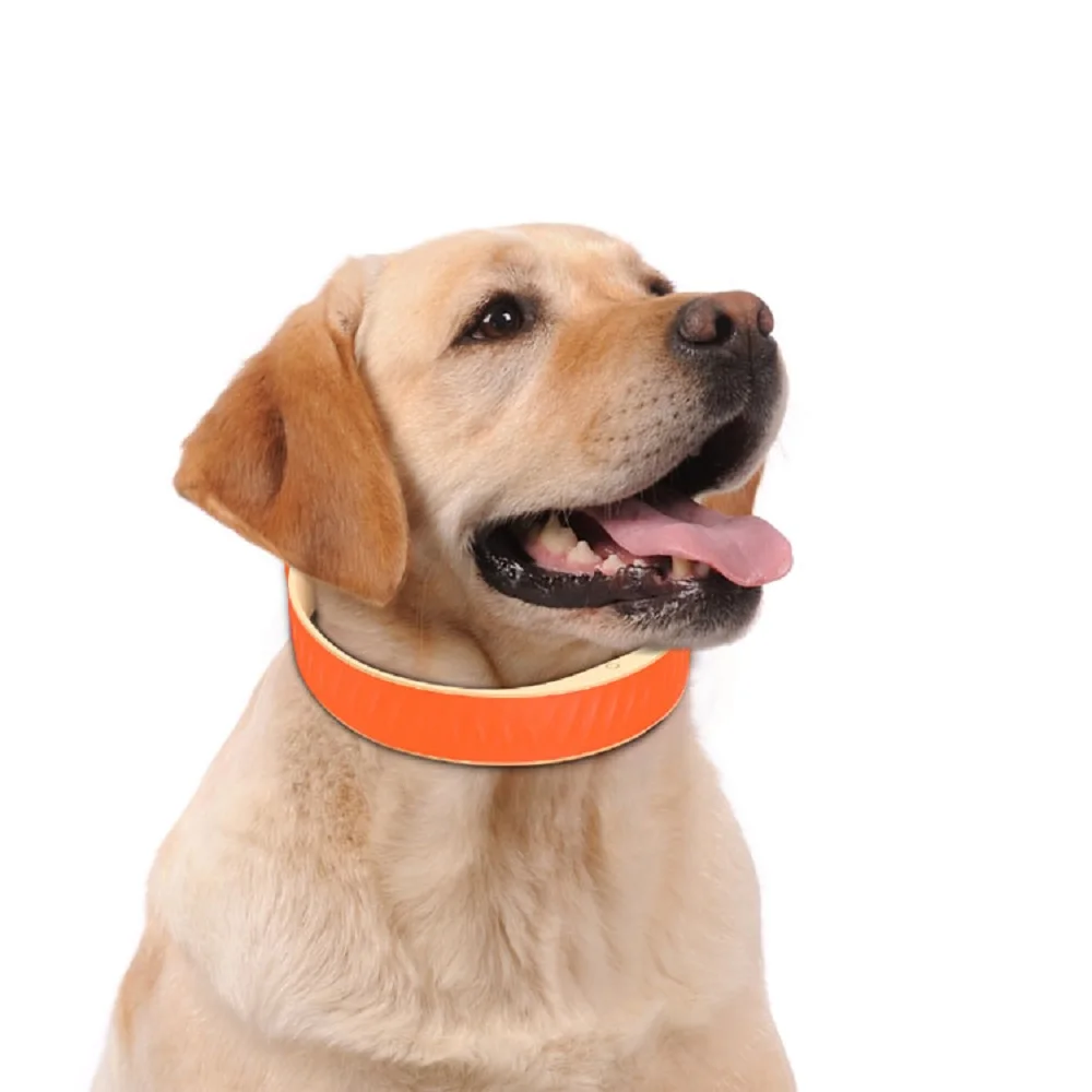 Waterproof Pet GPS Tracker With Microchip GPS Collar For Dog/Cat Animal