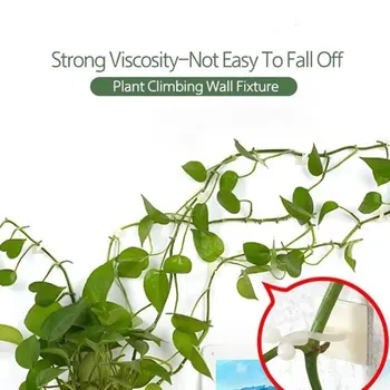 

Plant Climbing Wall Fixture Plant Fixed Buckle Green Dill Climbing Wall Artifact Vine Green Plant Indoor Self-Adhesive Hook