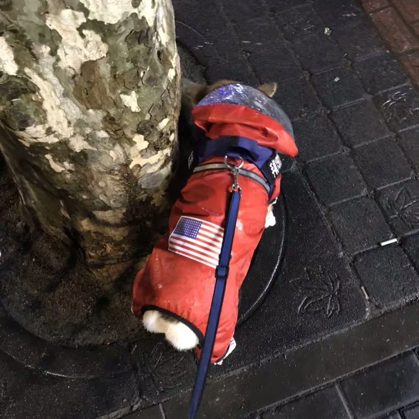 French Bulldog Raincoat Dog Pet Rain Coat Clothes Puppy Waterproof Windbreaker Jacket Small Medium Dogs Pug Dropshipping HPC05