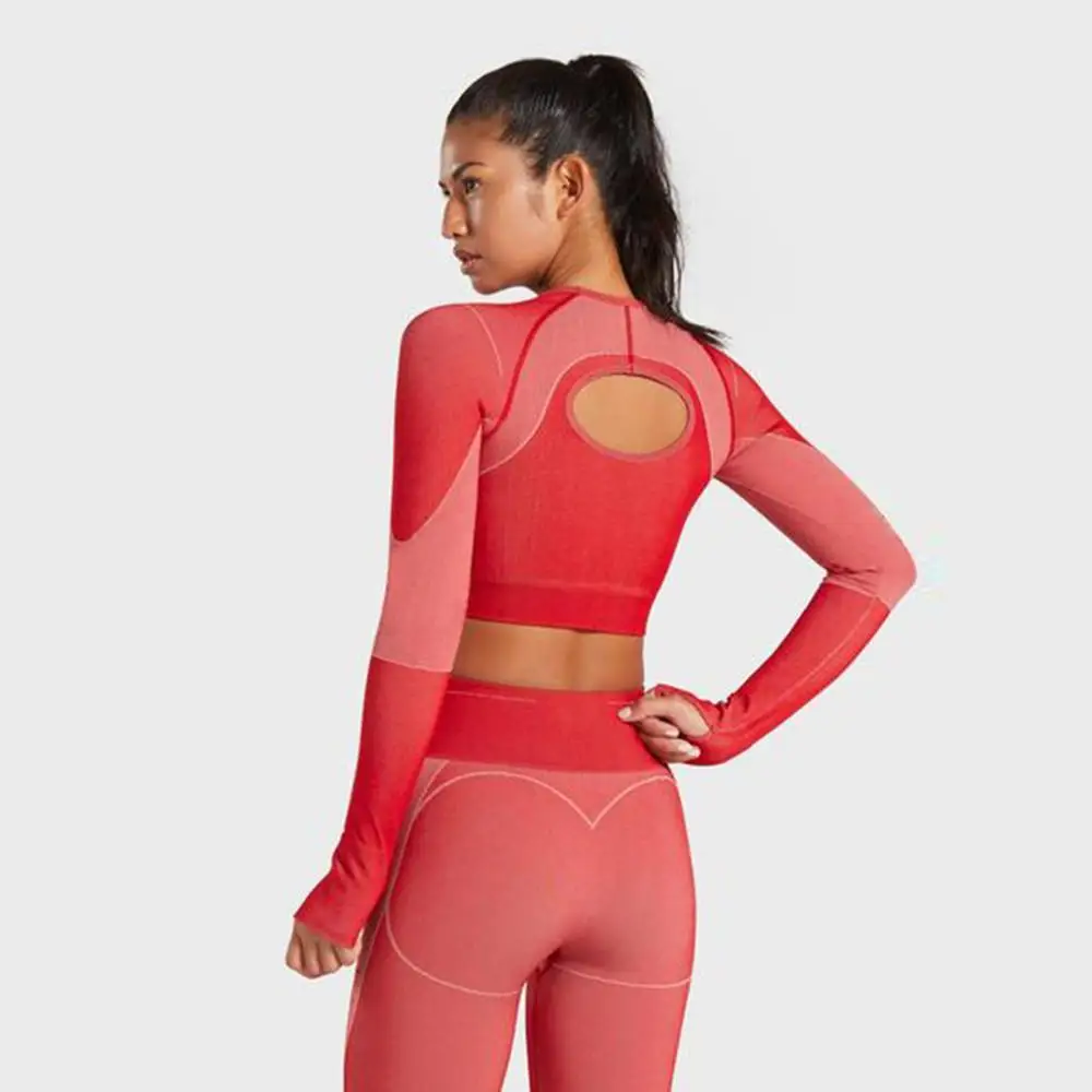 YSK6075 top red Женский спортивный костюм, комплект для йоги, одежда для спортзала и тренировок, Топ с длинным рукавом для фитнеса+ Бесшовные Леггинсы с высокой талией - Цвет: YSK6075 top red
