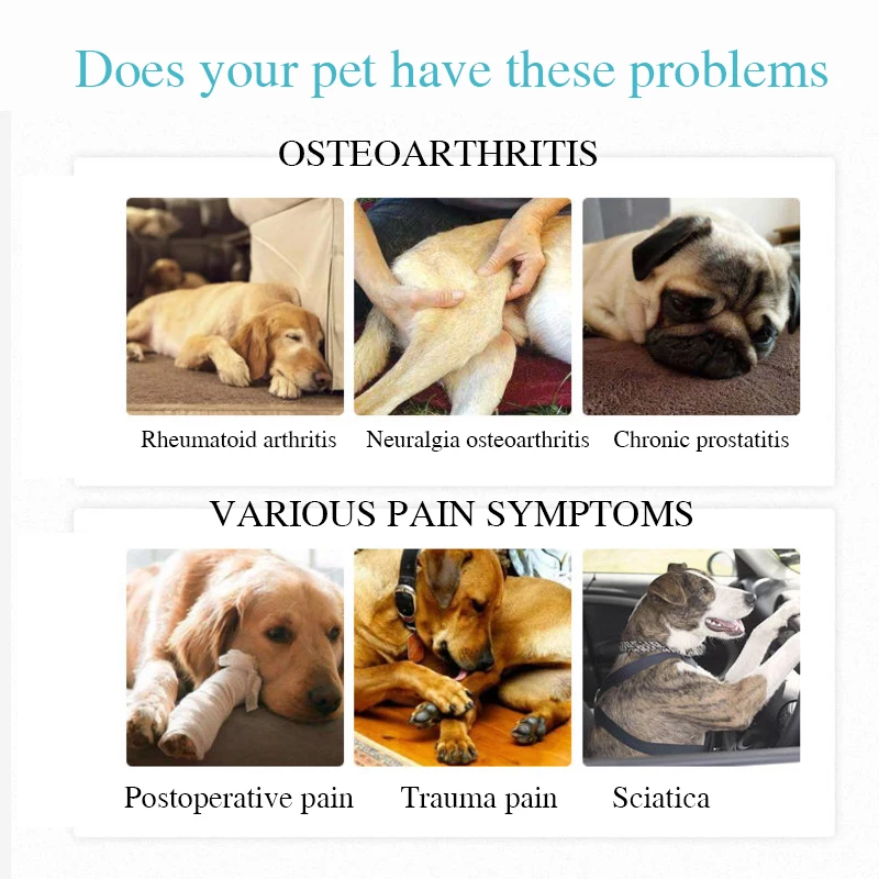 Can Arthritis Cause Fever In Dog