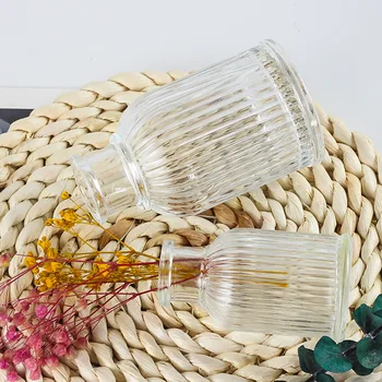 

Nordic Creative Simple Vase Transparent Fed It Grow in Water Flower Holder Hipster Domestic