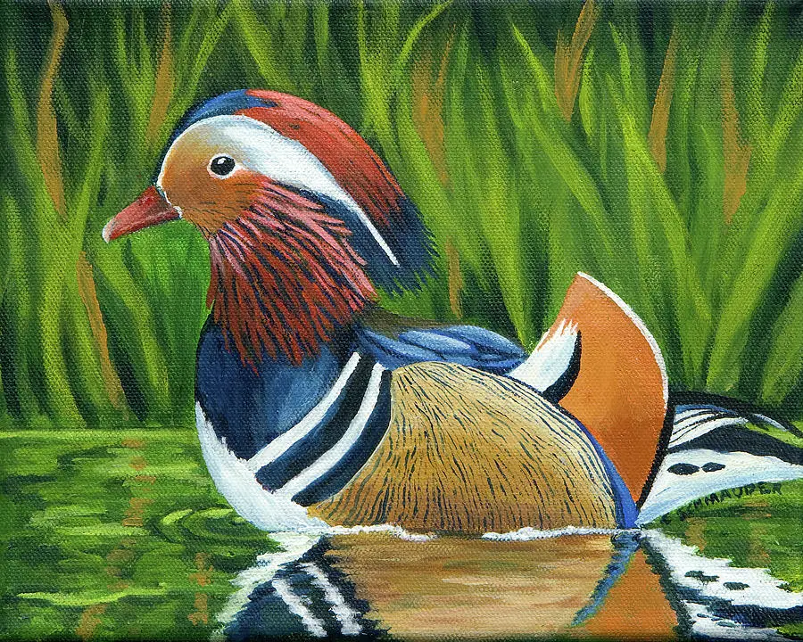 mr-show-off-carol-schmauder