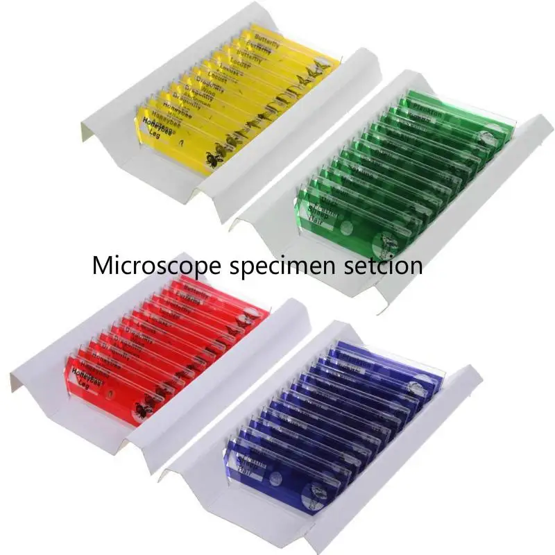 12/48Pcs/Set Prepared Microscope Slides Specimen Animals Insects Plants Flowers Sample