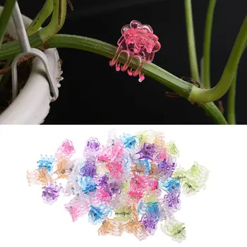 

2020 New 60Pcs Plastic Plant Fix Clips Orchid Clips Garden Support Clips Orchid Grower Flowers Fruit Vine Support