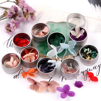 

flowers ins wind natural dried flowers stereo feeling flowers ziyang flower nail accessories nail stick eternal life