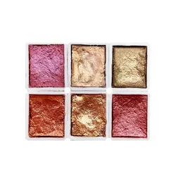 Colorful Nail Art Solid Pearlescent Watercolor Blooming Pigment Set Polarized High Color Rendering Nail Shop Special Art