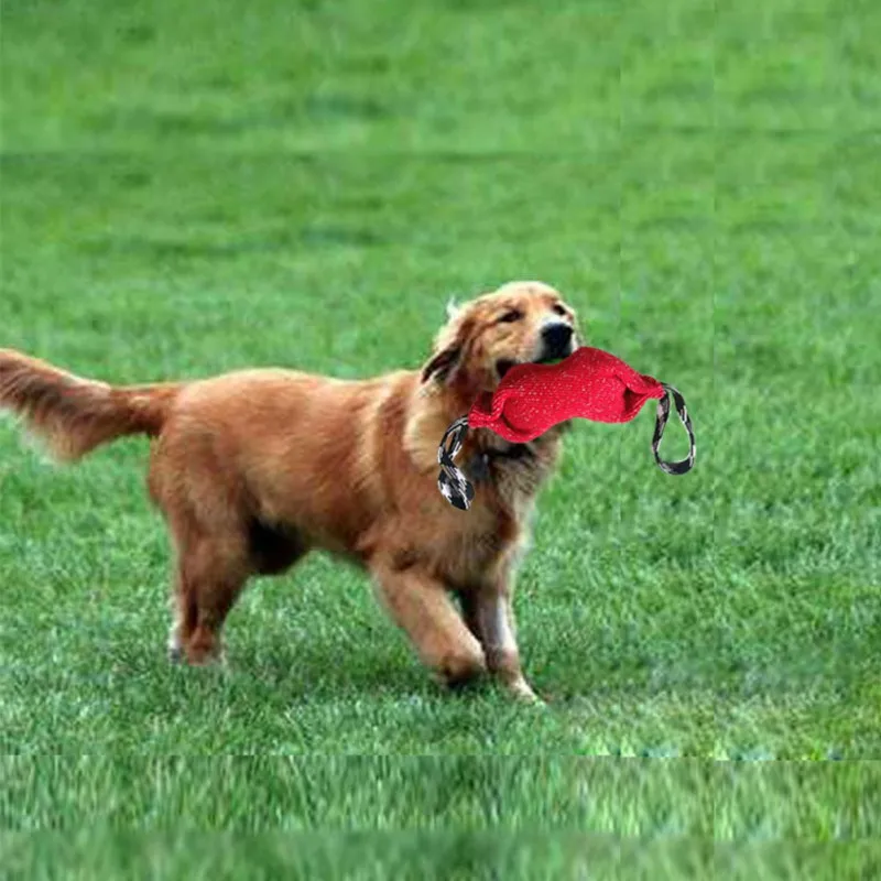 Интерактивная жевательная игрушка для домашних собак прочная тренировочная игрушка для больших собак Наружная игрушка для кусания