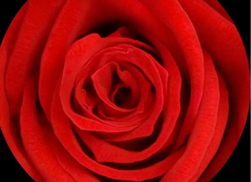 QQ截图20200627151532