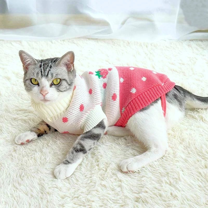 Antumn-ropa de invierno para gatos abrigo de suéter Katten para perros, disfraz de gato para perros pequeños, Chihuahua, Pugs, Bulldog francés