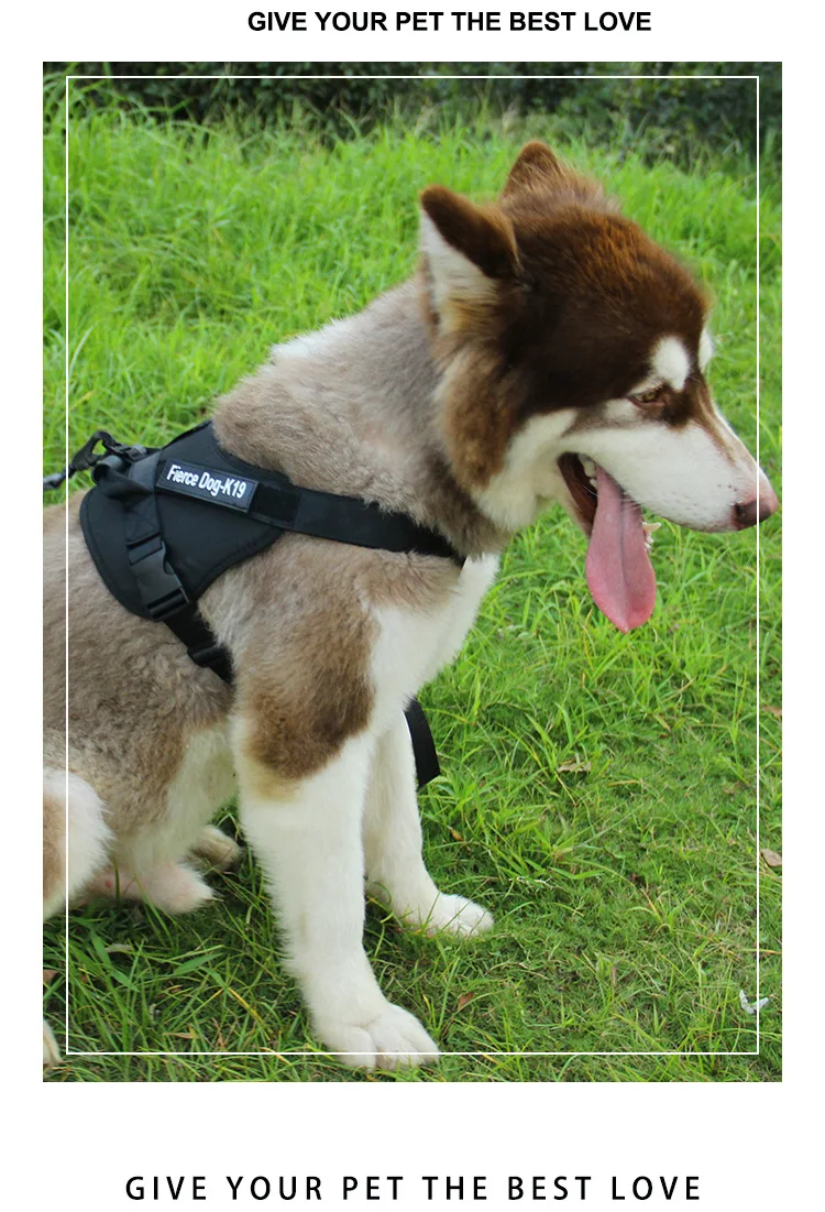 14466824402_1937179884