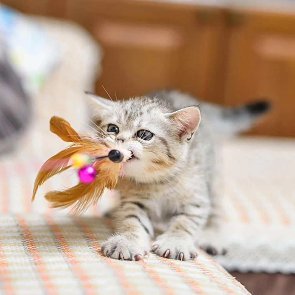 16Pcs Pet кошки котенок Игральный стержень Перо колокол мяч кукла мышка интерактивная игрушка