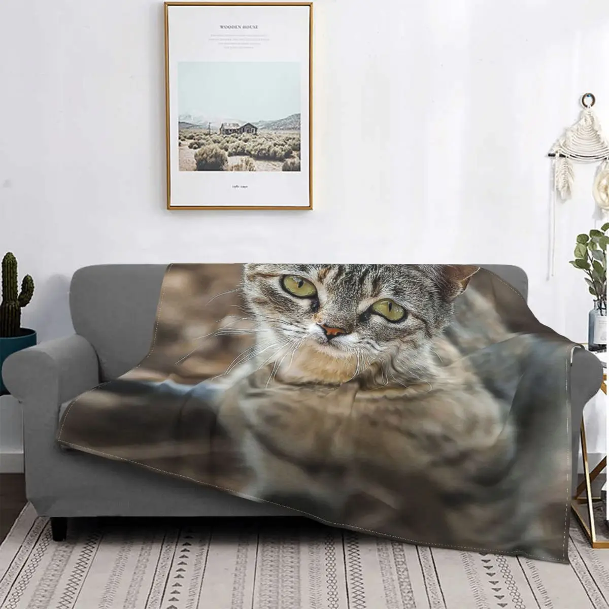 Foto Di Gato Hecha Por Yo, Manta, Colcha, Cama A Cuadros, Manta Para Sofá, Manta De Musmina, Ropa De Cama Y Fundas