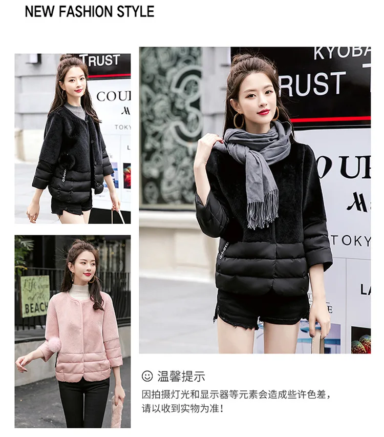 Thin Cotton-padded Clothes Women's Short New Style Autumn And Winter Cotton Coat Korean-style Small Short Cocoon Cotton-pad