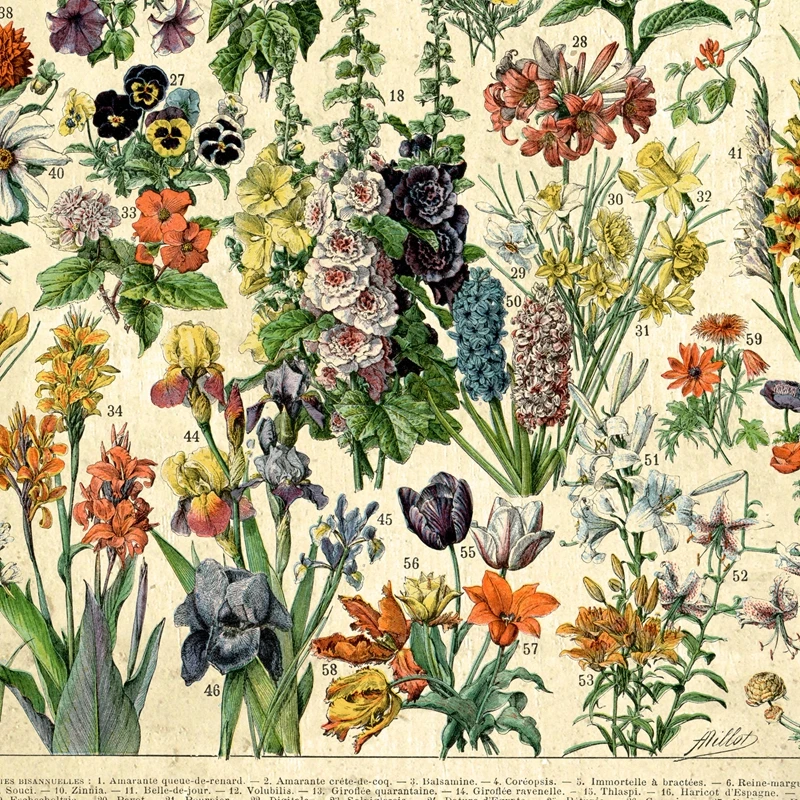 프랑스 꽃 Fleurs 빈티지 포스터 및 프린트 식물 레트로 월 아트 캔버스 회화, 거실 그림 홈 장식