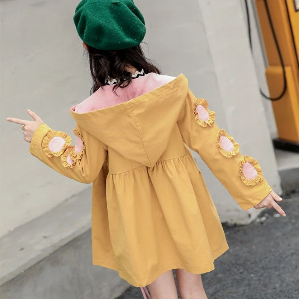 微信图片_20190623155251a