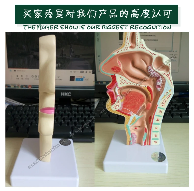 12508 买