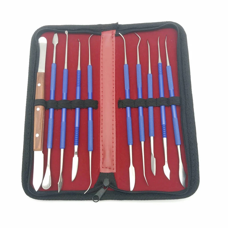 NEW 10Pcs Dental Stainless Steel Wax Carving Tool Set Dentist Sculpture