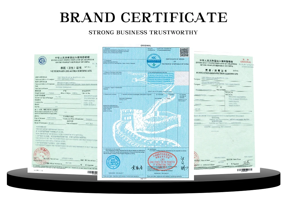 BRAND CERTIFICATE