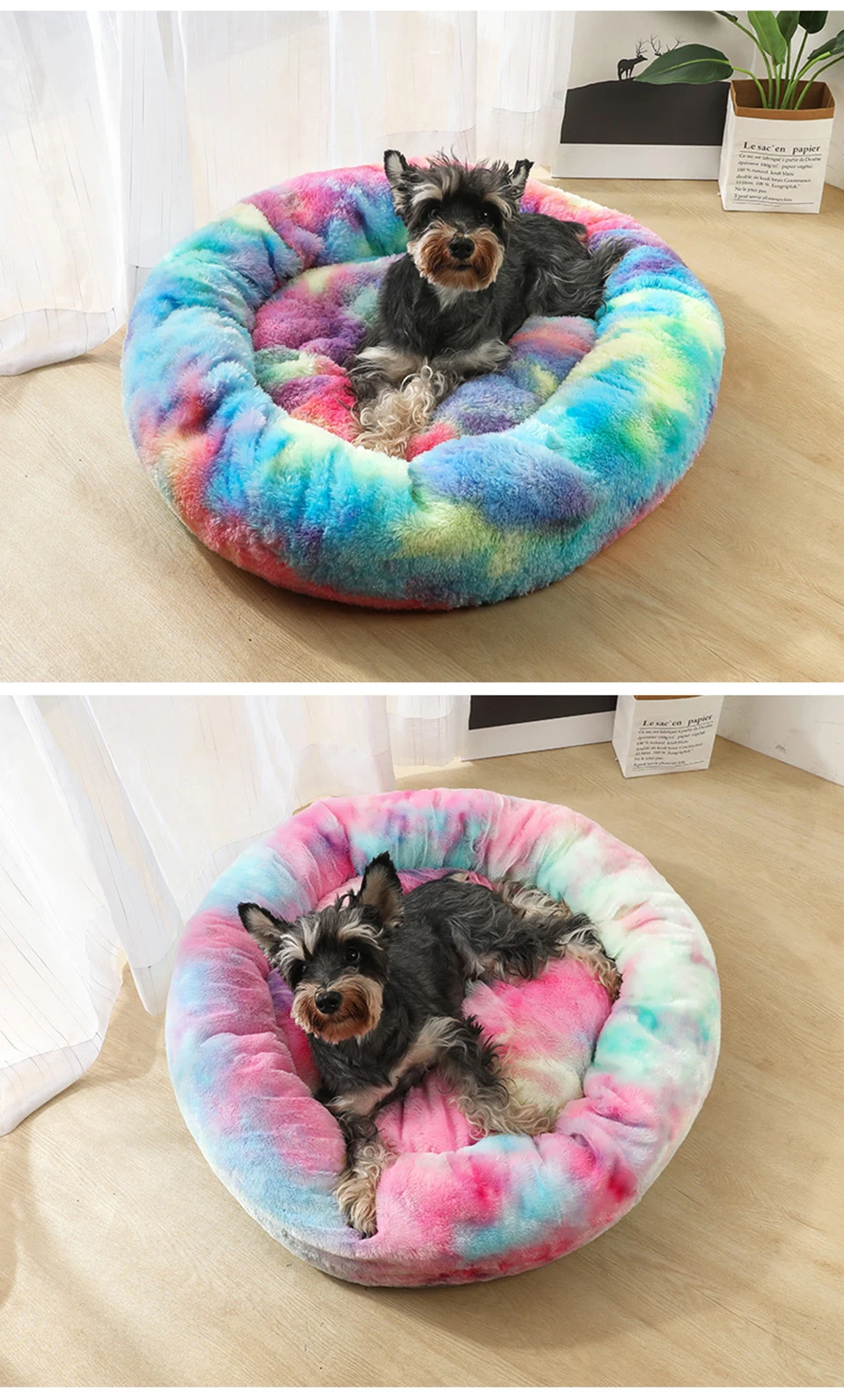 11897920433_1739912750