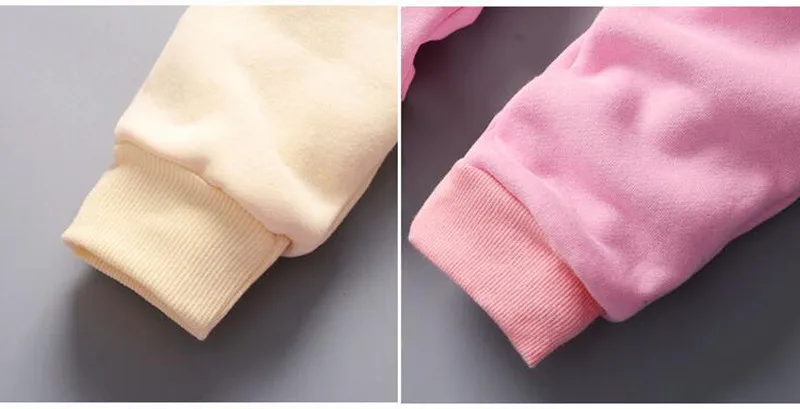 Autumn Baby Girls Clothing Sets Children Warm Hooded Coats And Pants Suit Toddler Boys Thick Velvet Tracksuit Kids Clothes Set (12)