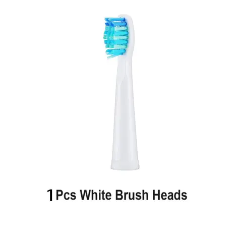 pieces / set Seago toothbrush head for SG-507B / 908/909/917/610/659/719/910/949/958 electric toothbrush replacement toothbrus