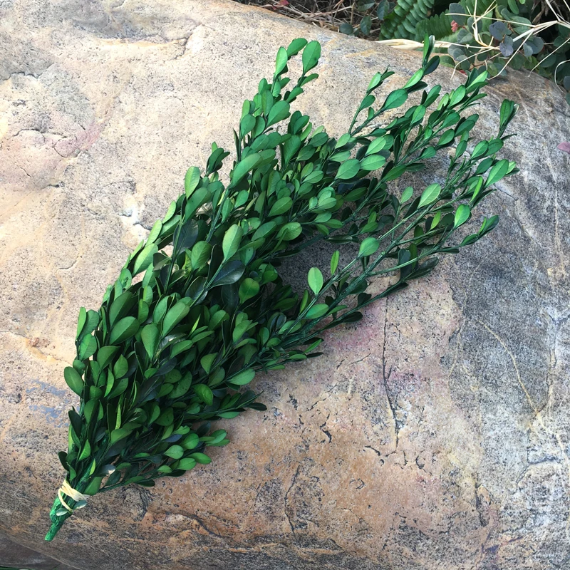 50g/40cm Preserved Buxus Sinica,DIY Nature Real Eternell Flores,Wedding Home Valentine's Day Gift Decor,Preserved Dried Flowers
