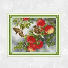 Рисунок с птицами и яблоками 14ct ткань принтом 11ct белая наборы