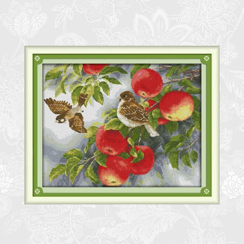 

Birds and apples Patterns 14ct Printed Fabric 11ct White Fabric Cross Stitch kits DIY Handmade Beginner Embroidery Needlework